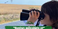 FSA - Birdwatching